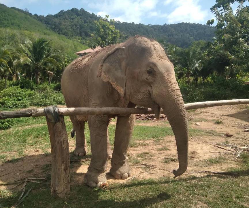 Photo of Others in Ko Lanta