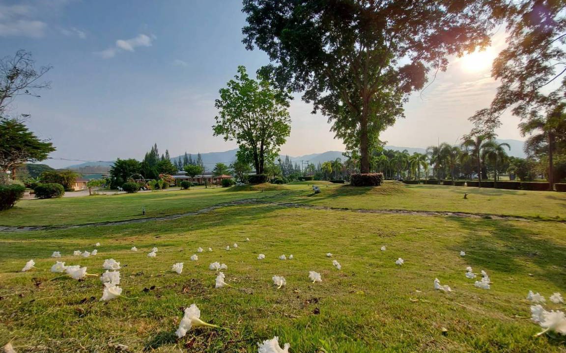 Photo of Others in Suan Phueng