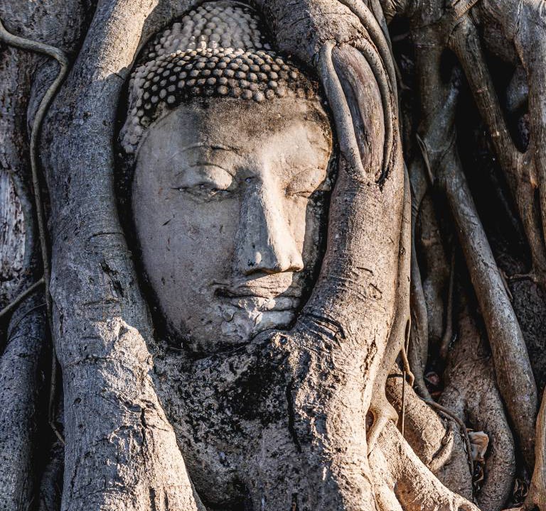 Photo of Others in Ayutthaya