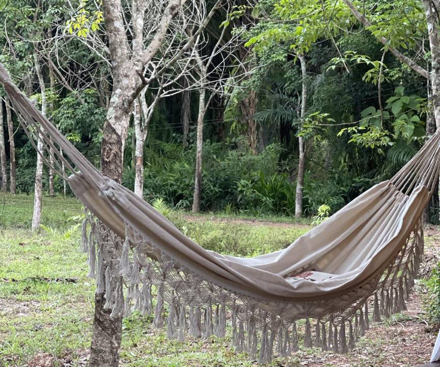 Photo of Others in Bung Khong Long