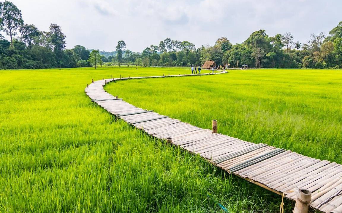 Photo of Others in Ban Na