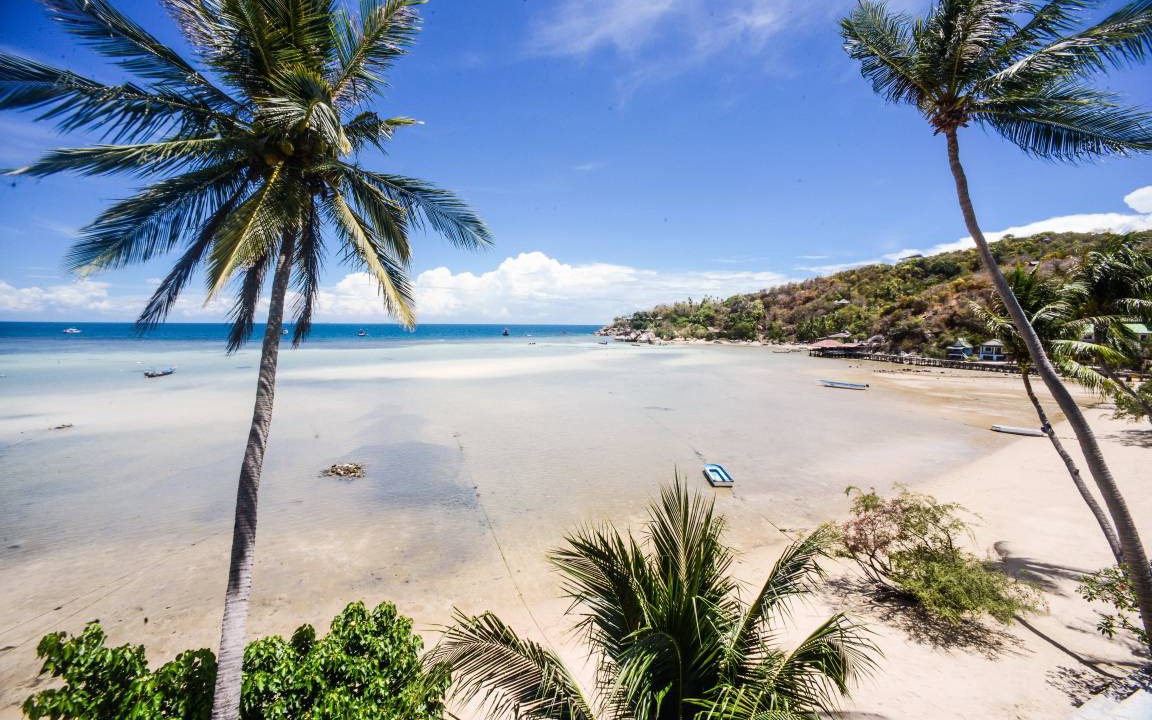 Photo of Others in Koh Tao