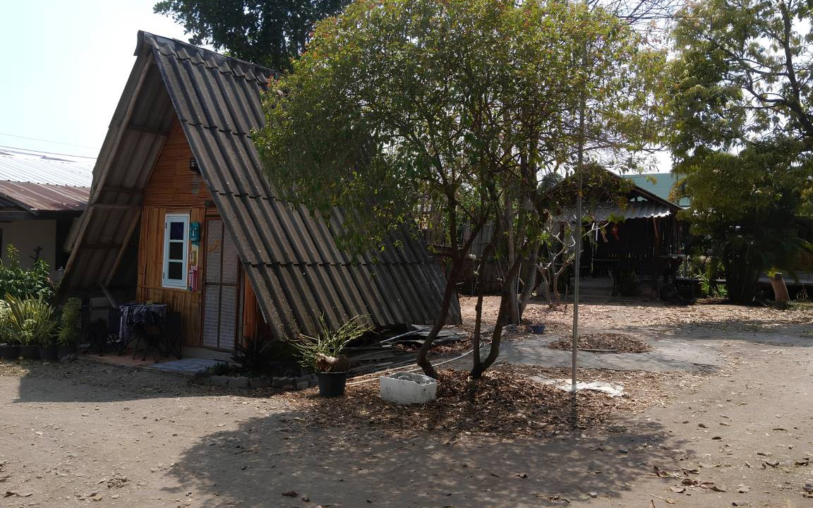 Photo of Others in Pai
