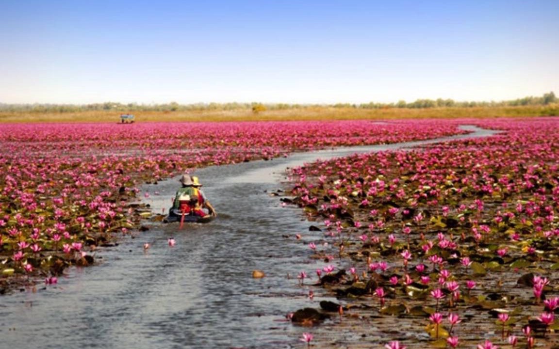 Photo of Others in Nong Han