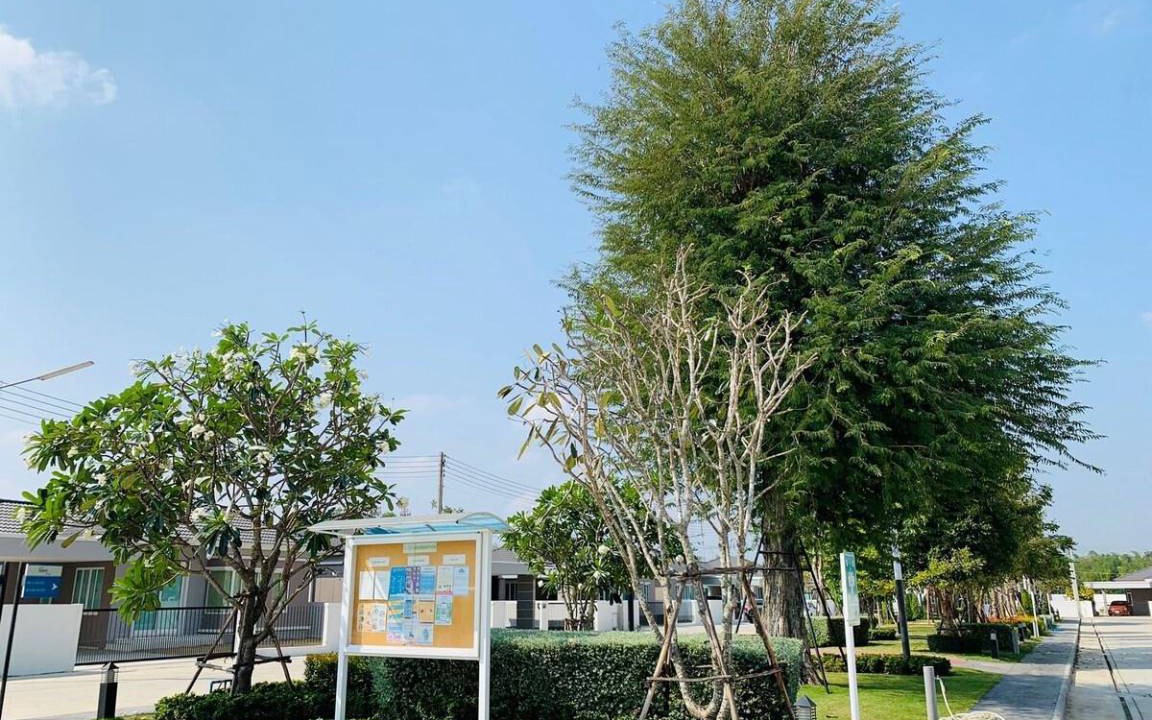 Photo of Outdoor in Hin Lek Fai