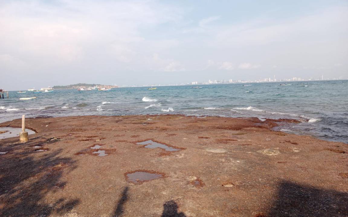 Photo of Others in Koh Lan