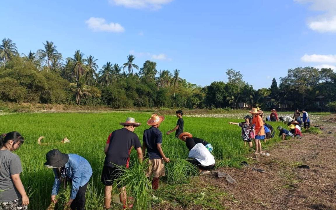 Photo of Others in Na Mueang