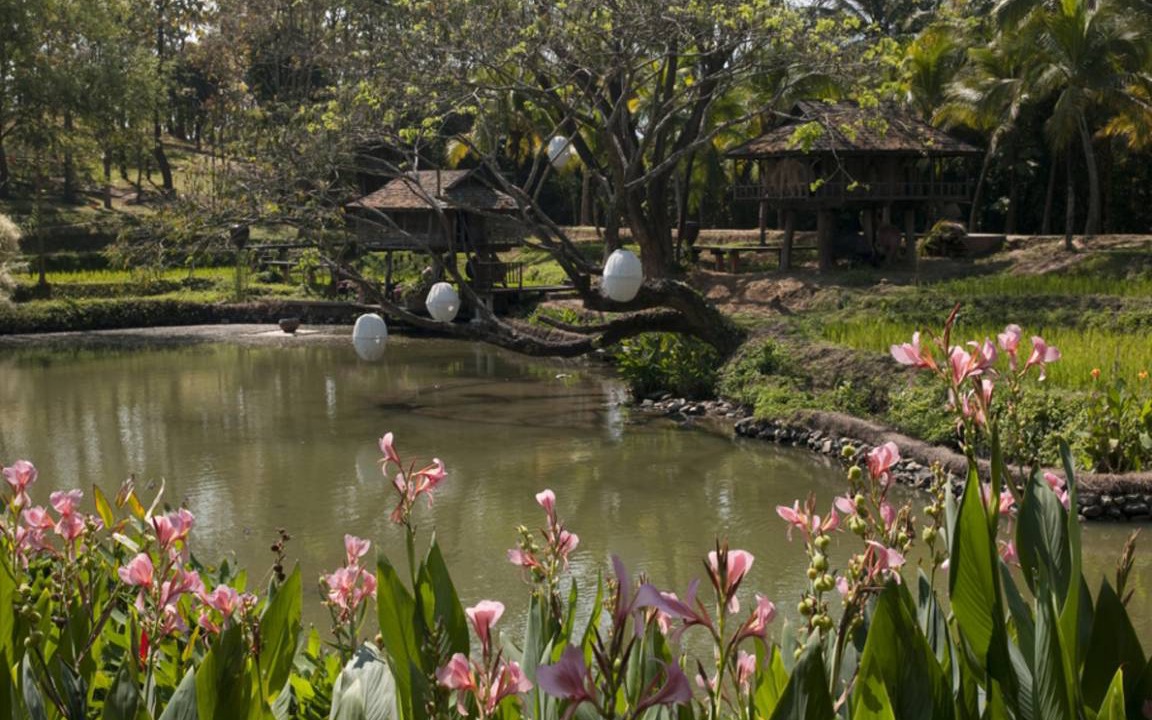 Photo of Others in Mae Rim