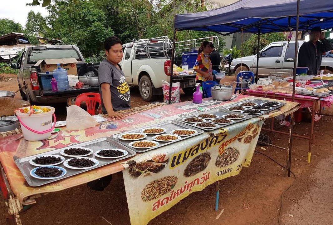 Photo of Others in Nong Chaeng
