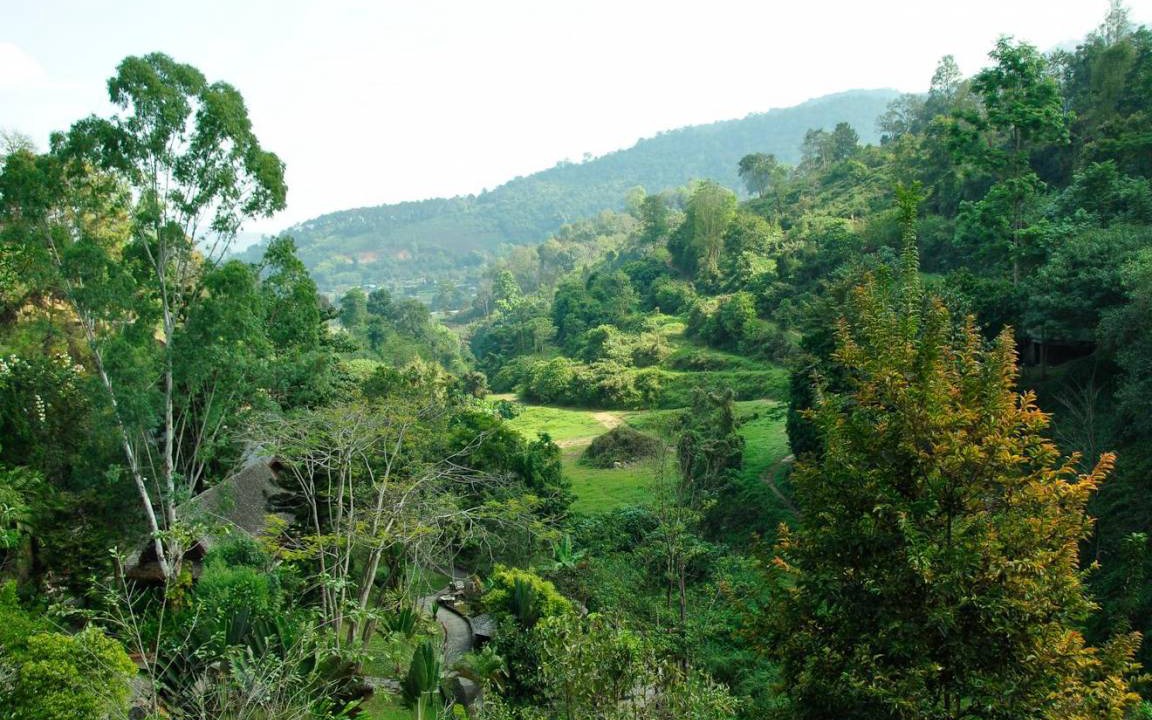 Photo of Others in Pong Yaeng