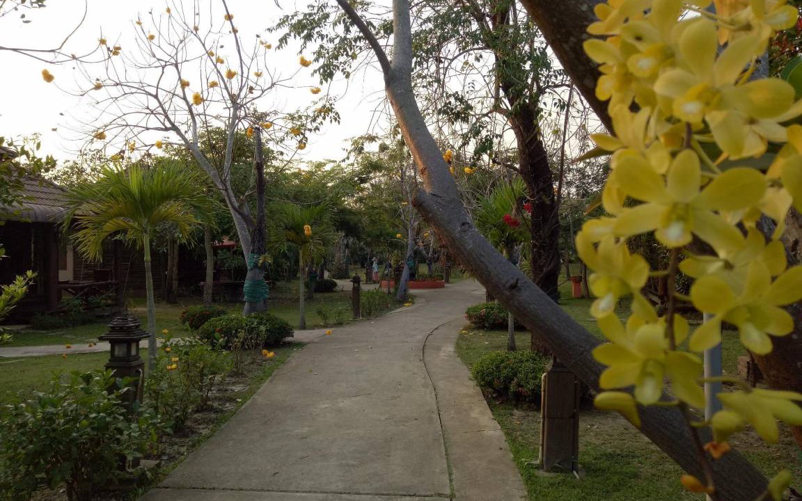 Photo of Others in Huai Sai