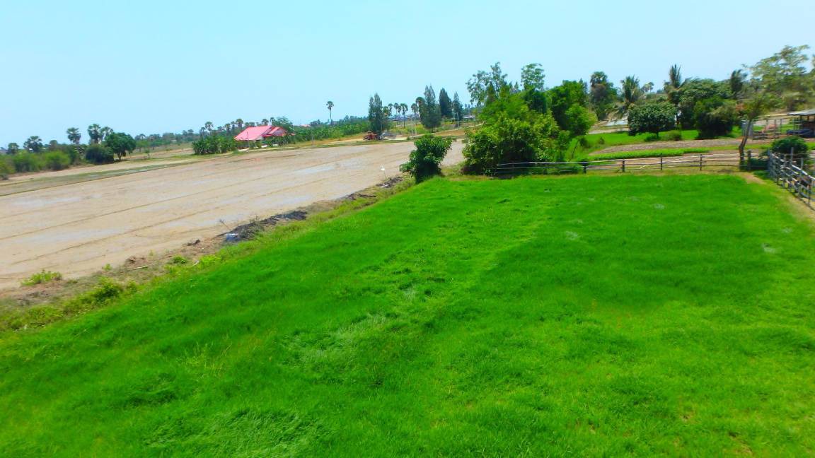 Photo of Others in Phetchaburi