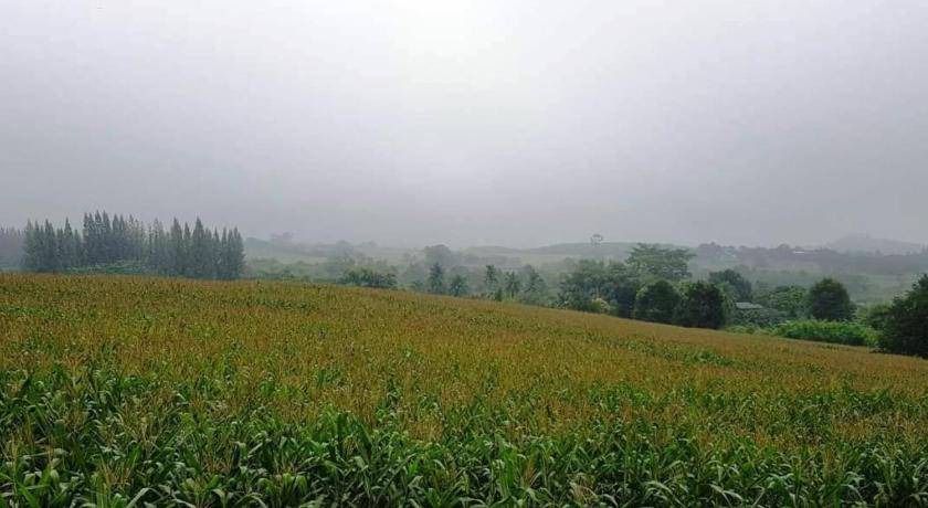 Photo of Others in Pong Ta Long