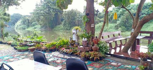 Photo of Others in Lamphun
