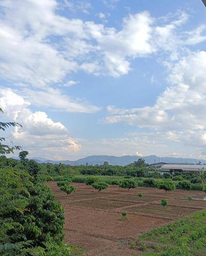 Photo of Outdoor in Lamphun