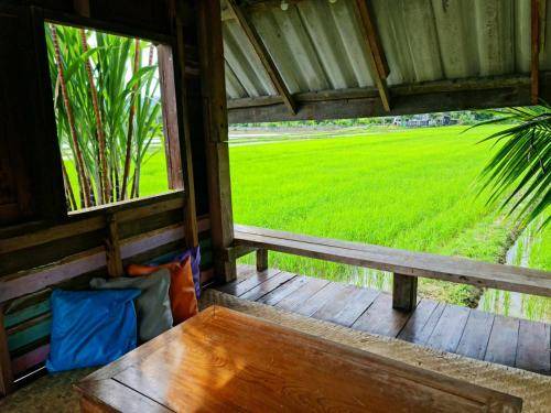 Photo of Others in Mae Kon