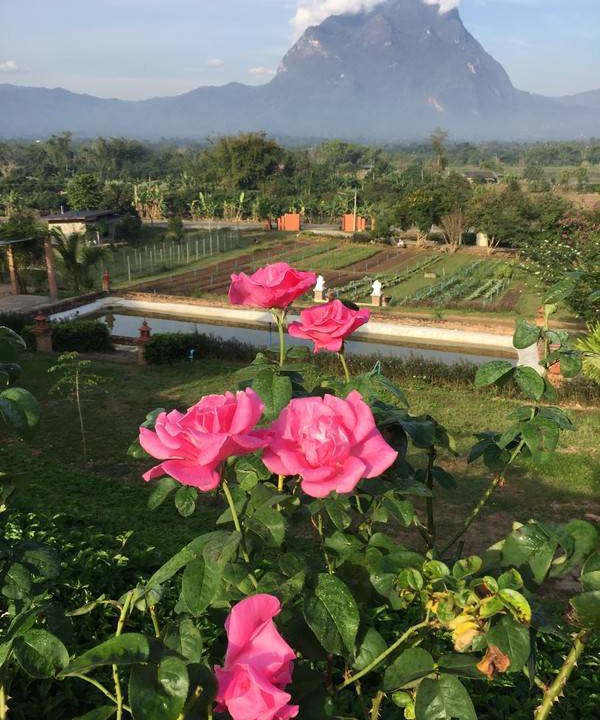 Photo of Others in Chiang Dao