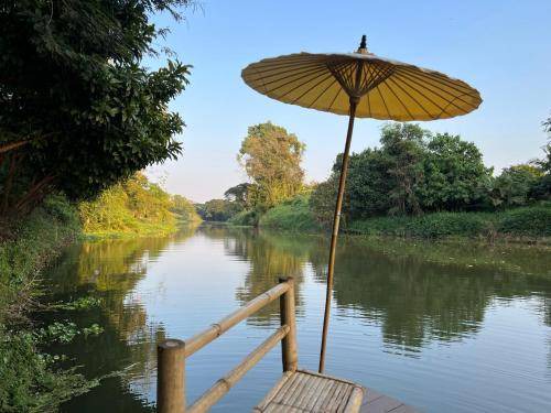 Photo of Others in Lamphun