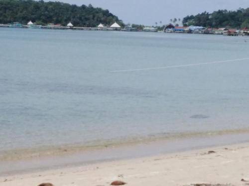 Photo of Others in Khong Koi Beach