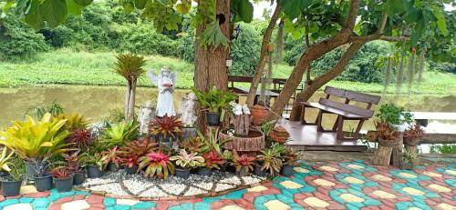 Photo of Others in Lamphun