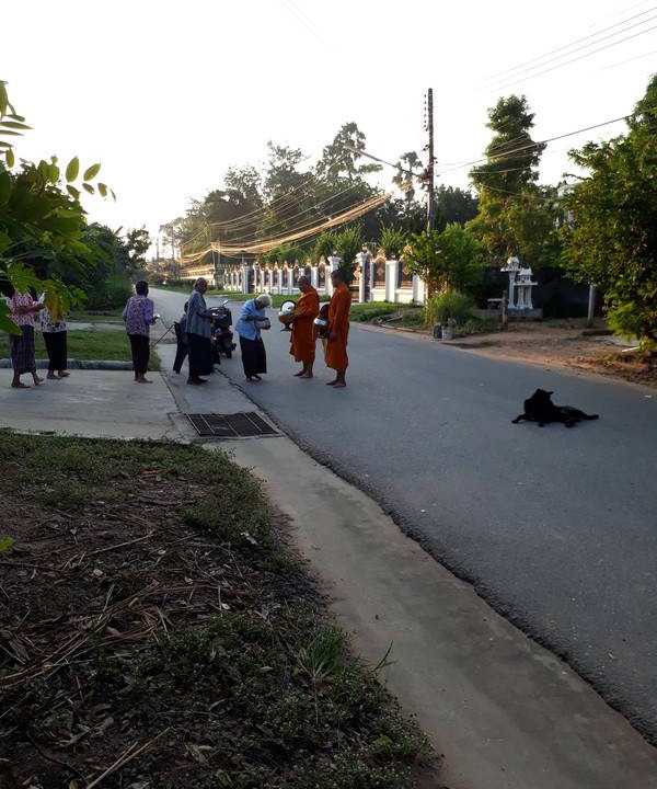 Photo of Others in Nong Chaeng