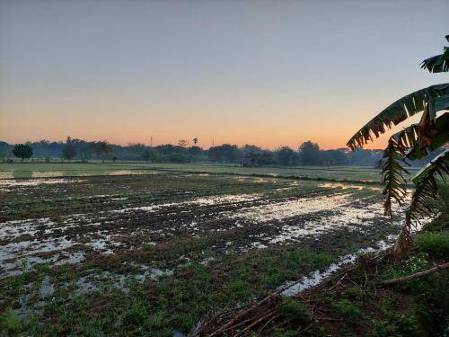 Photo of Others in Mueang Nga