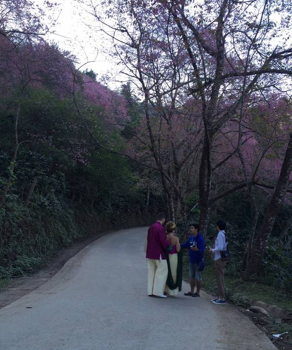 Photo of Others in Pa Daet