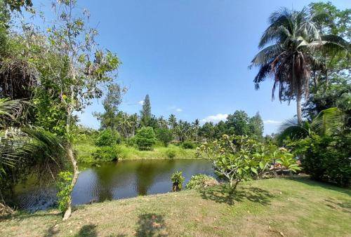 Photo of Others in Thong Chai