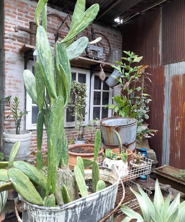 Photo of Patio Balcony in Chaiyasathan