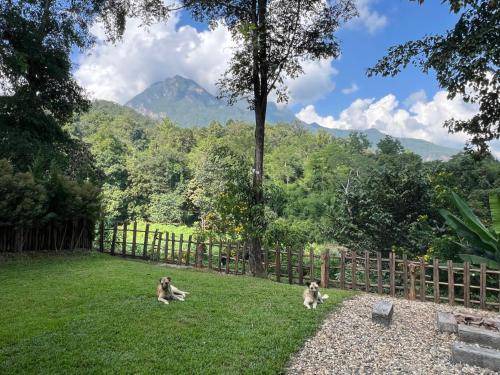 Photo of Others in Chiang Dao