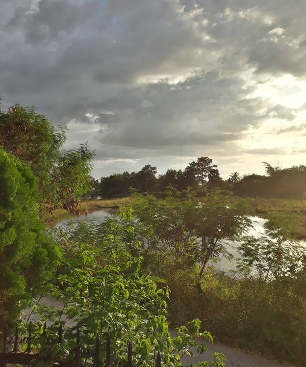 Photo of Others in Nong Chaeng
