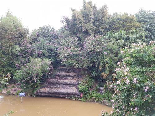 Photo of Others in Phu Ruea