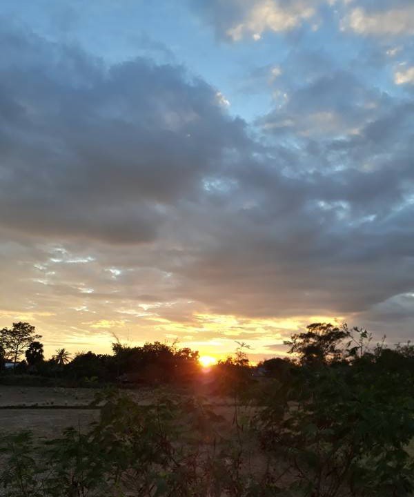 Photo of Others in Nong Chaeng