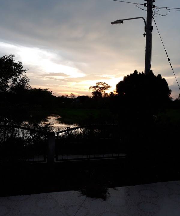 Photo of Others in Nong Chaeng