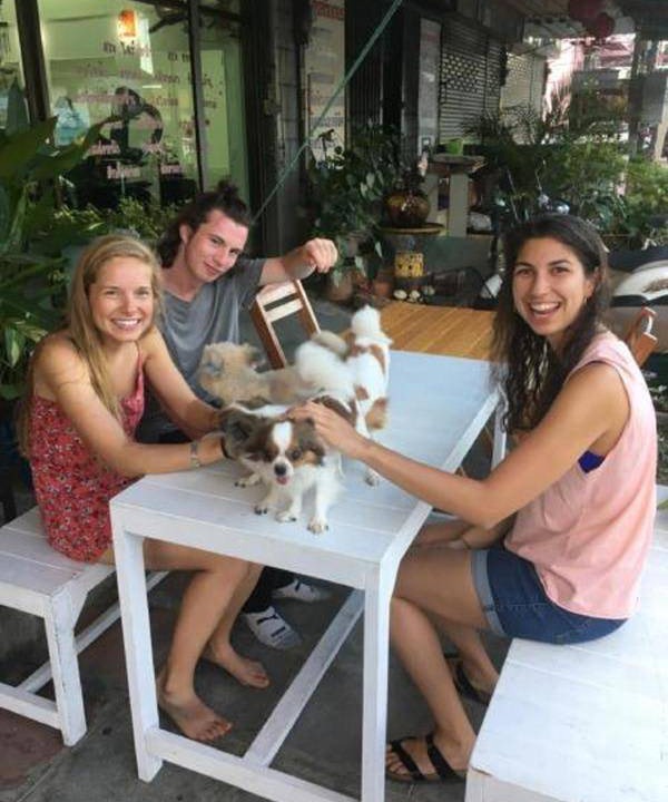 Photo of Others in Ayutthaya