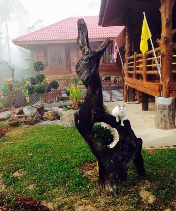 Photo of Others in Makham Tia