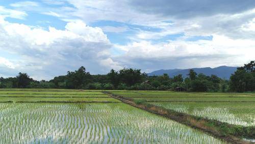 Photo of Others in Chiang Dao