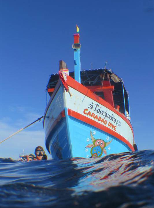 Photo of Others in Koh Tao