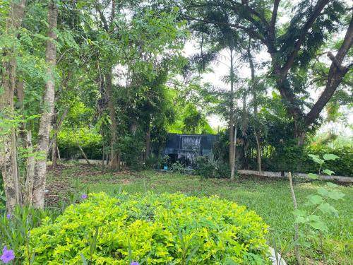 Photo of Outdoor in Phen