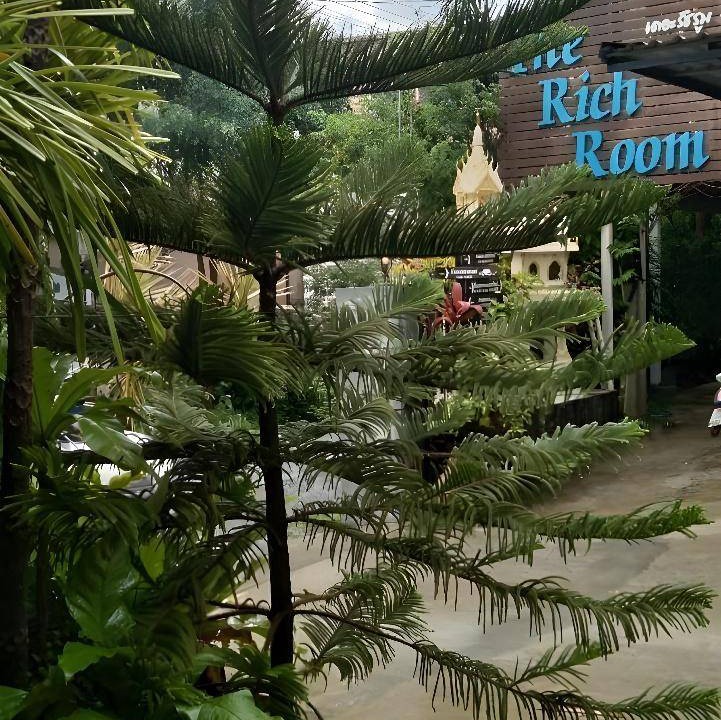 Photo of Others in Nakhon Ratchasima