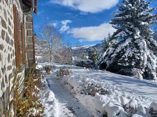 Photo of Others in Vic-sur-Cere