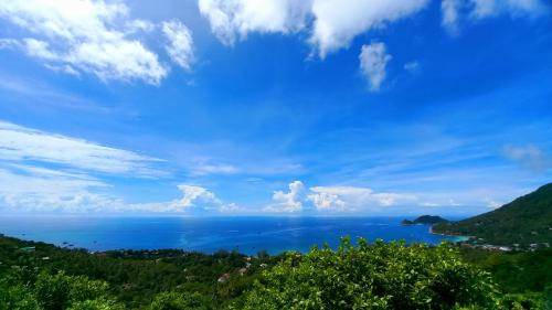 Photo of Others in Koh Tao