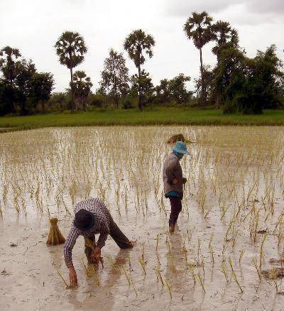 Photo of Others in Um Chan