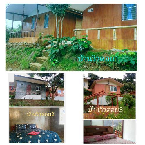 Photo of Others in Pong Yaeng