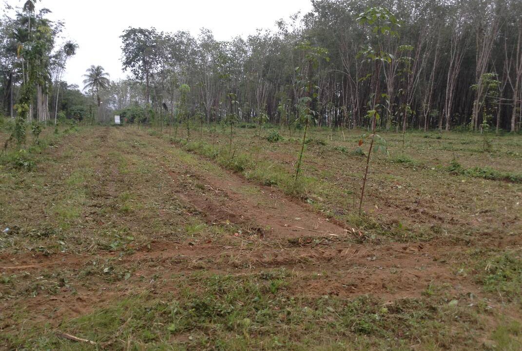 Photo of Outdoor in Ban Na Faek