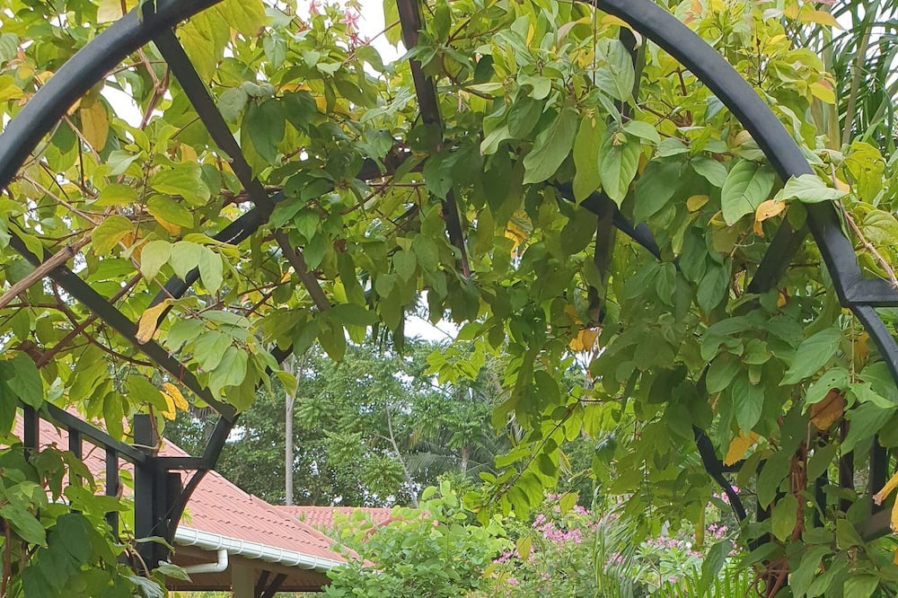 Photo of Outdoor in Ko Lanta