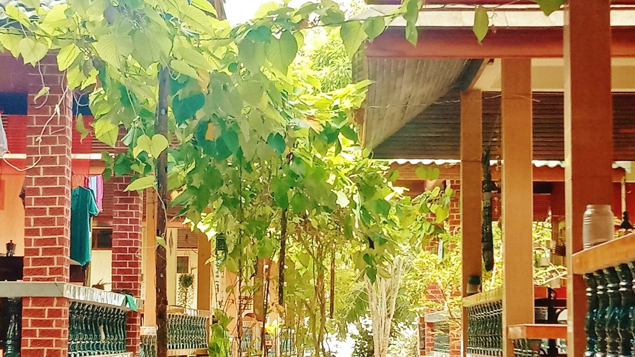 Photo of Outdoor in Haad Yao