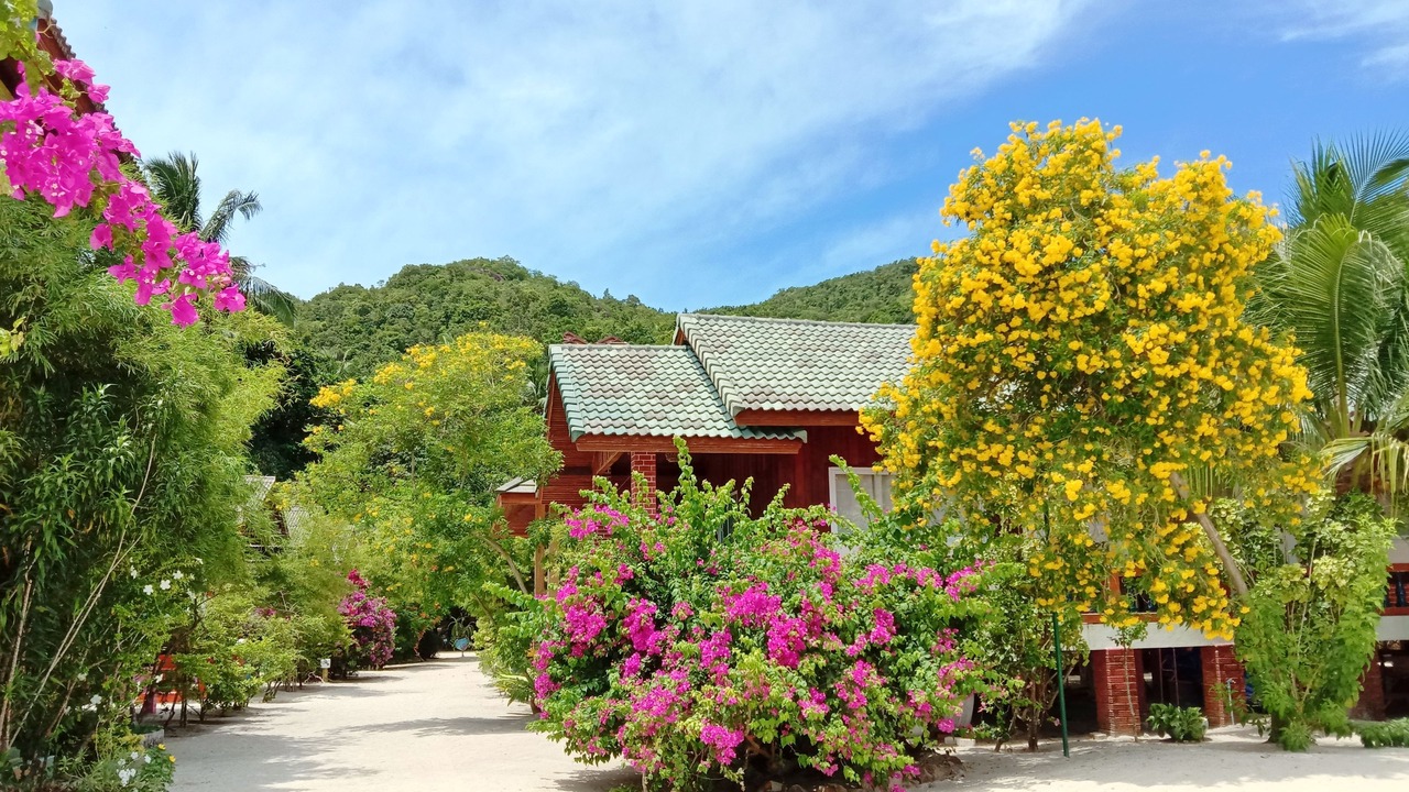 Photo of Outdoor in Haad Yao
