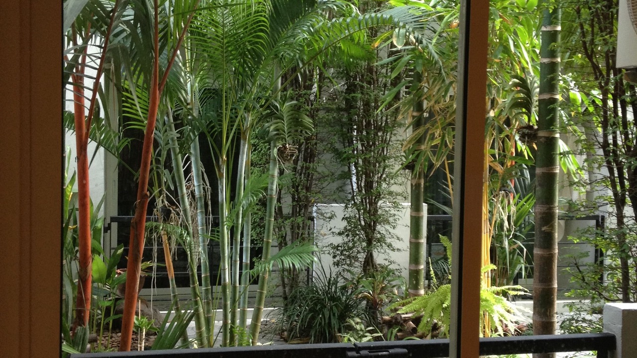 Photo of Bedroom in Thung Song Hong