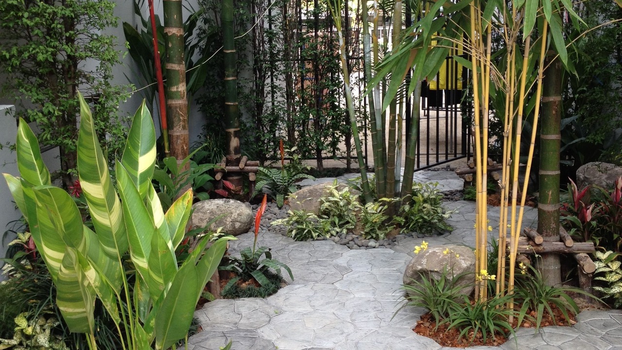 Photo of Outdoor in Thung Song Hong
